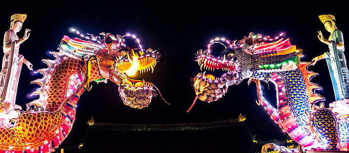 two dragons during night times thumbnail