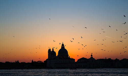 birds flying over cathedral during golden hour thumbnail
