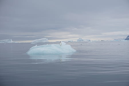 iceberg thumbnail
