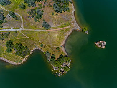 bird's eye photography of trees and body of water thumbnail
