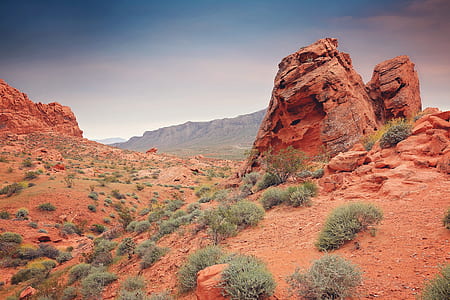 brown rock formations and green leaf plants at daytime thumbnail