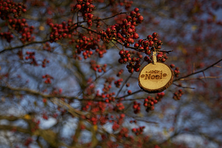 brown wooden key chain on branch thumbnail