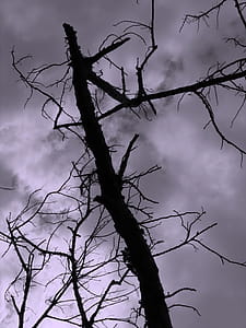 -- with a gloomy dark sky as background thumbnail
