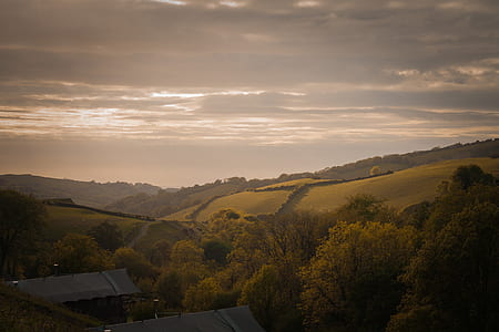 Green Leaf Trees Under Cloudy Sky thumbnail