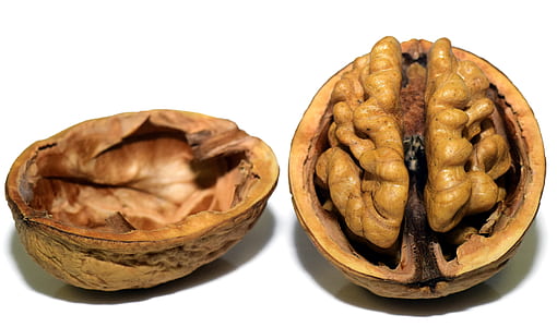 walnut with shell on white surface thumbnail