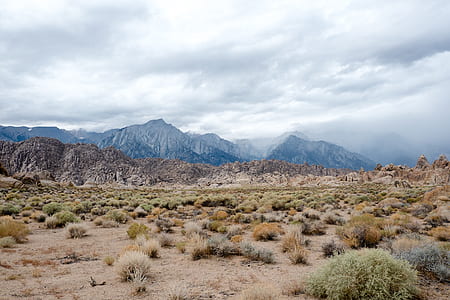green grass surrounded by mountain thumbnail