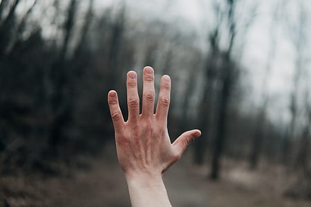 right human hand thumbnail