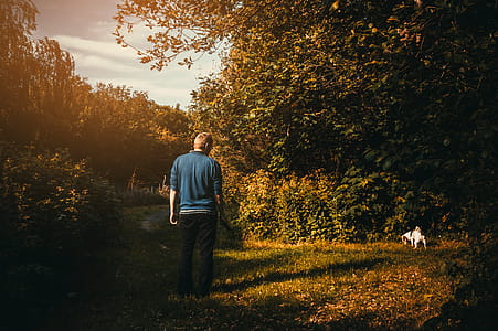 Man Wearing Blue Jacket Looking Dog Peeing thumbnail
