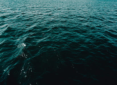 Photo of Body of Water thumbnail