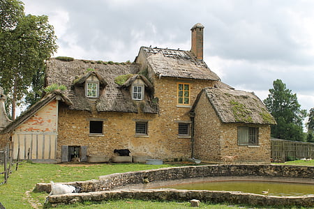 brown and gray house with green grass beside body of water thumbnail