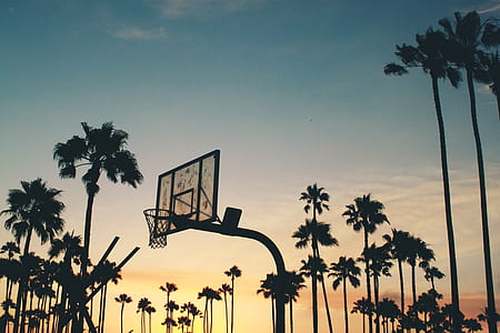 silhouette of basketball hoops with trees thumbnail