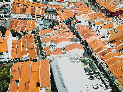 bird's eye view photography of hourses thumbnail