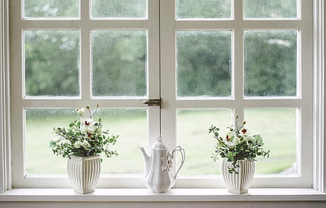 white wooden framed glass window with plants thumbnail