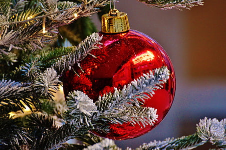 red bauble on Christmas tree thumbnail