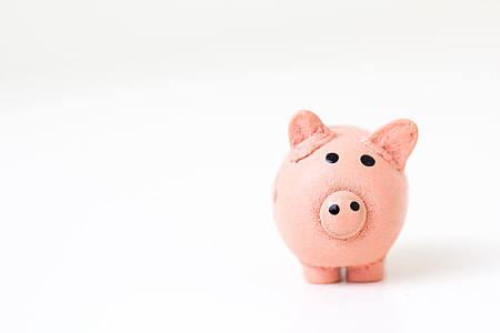 Piggy bank holder for money coins thumbnail