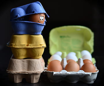 three blue, yellow, and brown poultry of eggs photography thumbnail