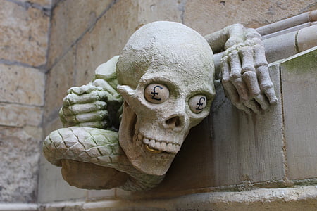 gray skull wall decor thumbnail