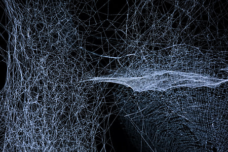 spider web thumbnail