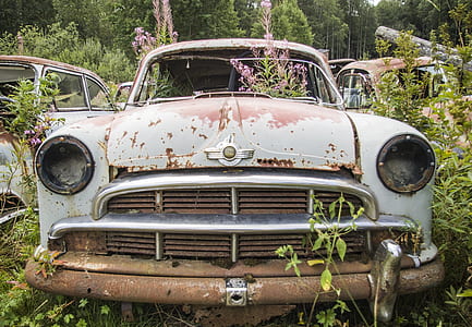 classic abandoned vehicle surrounded green leafed plant thumbnail