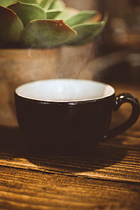 Cup of Coffee Beside Green Succulent Plant thumbnail