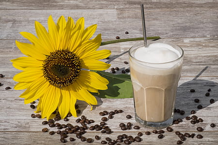 milk shake on drinking glass with straw beside sunflower flower thumbnail