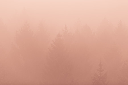 backgrounds, abstract, nature, textured thumbnail