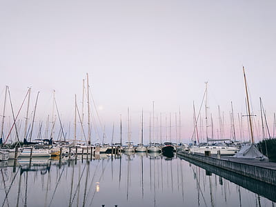 boats on dock during golden hour thumbnail