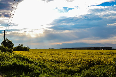 green grass field at the plain under grey cloudy sky thumbnail