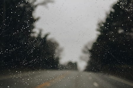 macrophotography of raindrops on glass panel thumbnail