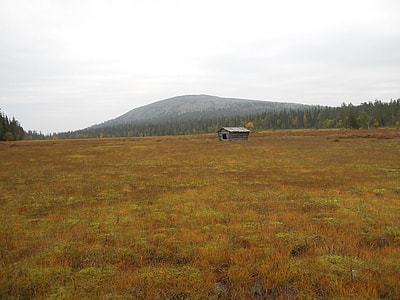 gray house at the center of grass field thumbnail