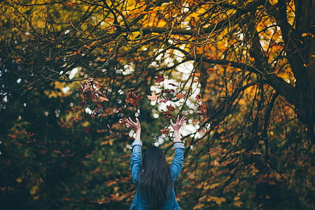 woman reaching bare tree branch taken during daytime thumbnail