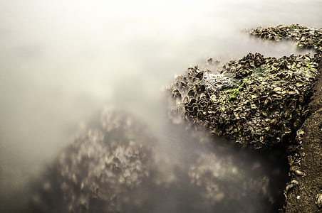 close up photo of rock thumbnail