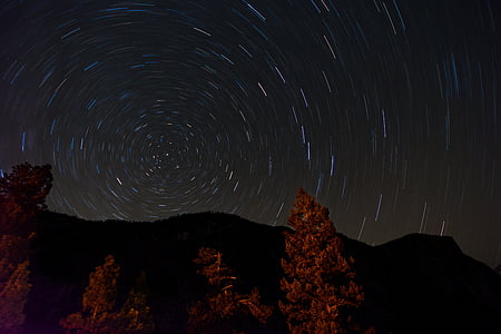 trees under starry sky on time-lapse photography thumbnail