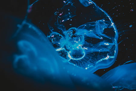 blue water digital wallpaper thumbnail