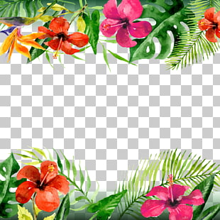 Leaf Arecaceae Flower, summer flowers, red-and-orange hibiscus illustration PNG clipart