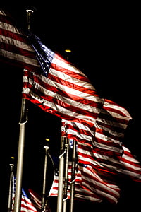 flags of America mounted on silver poles thumbnail