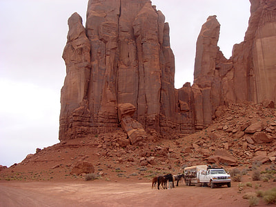 Horses, Horseback Riding thumbnail