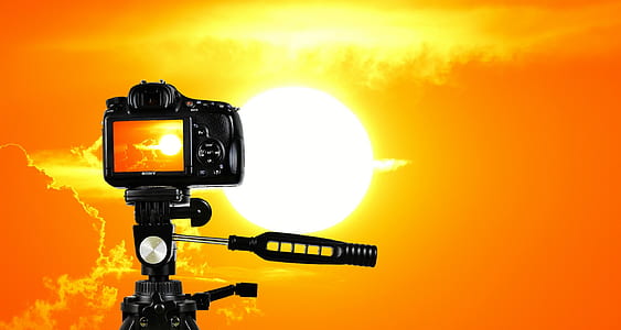 photo of black DSLR camera shooting golden hour thumbnail