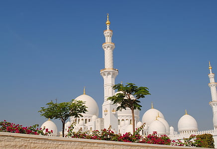 low-angle photography of dome mosque thumbnail