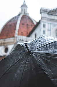 selective close up photo of black umbrella thumbnail