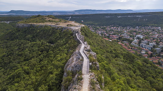 aerial view of green trees during daytme thumbnail