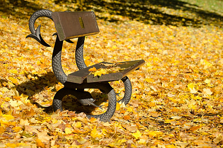 brown and black metal bench surrounded with maple leaves thumbnail