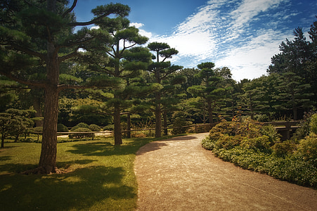 road between shrubs and trees at daytime thumbnail