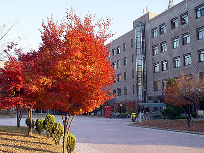 Sungkyunkwan University in Suwon, South Korea thumbnail