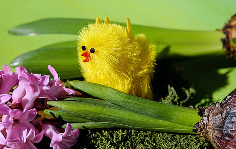 shallow focus photo of yellow bird plush toy thumbnail