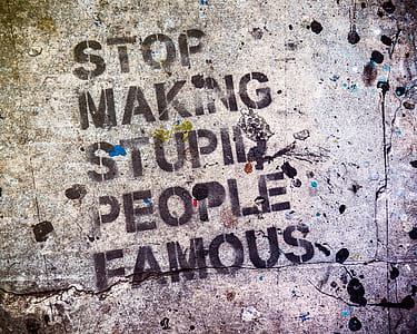 Stop Making Stupid People Famous printed pavement thumbnail