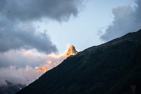 mountain covered with forest thumbnail
