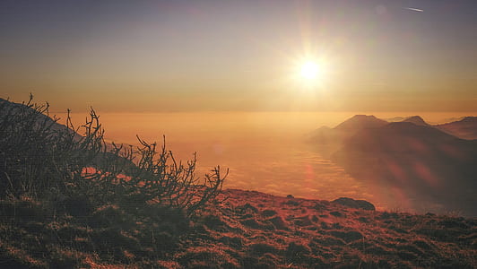 brown mountain with fogs during golden hours thumbnail