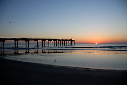 brown dock silhouette during golden hour thumbnail