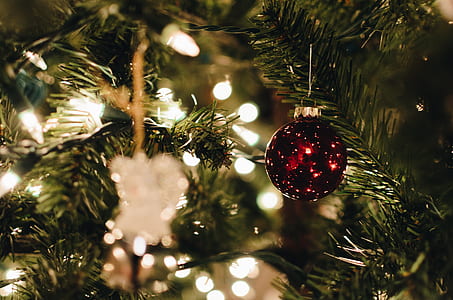 rule of thirds photography of red bauble thumbnail